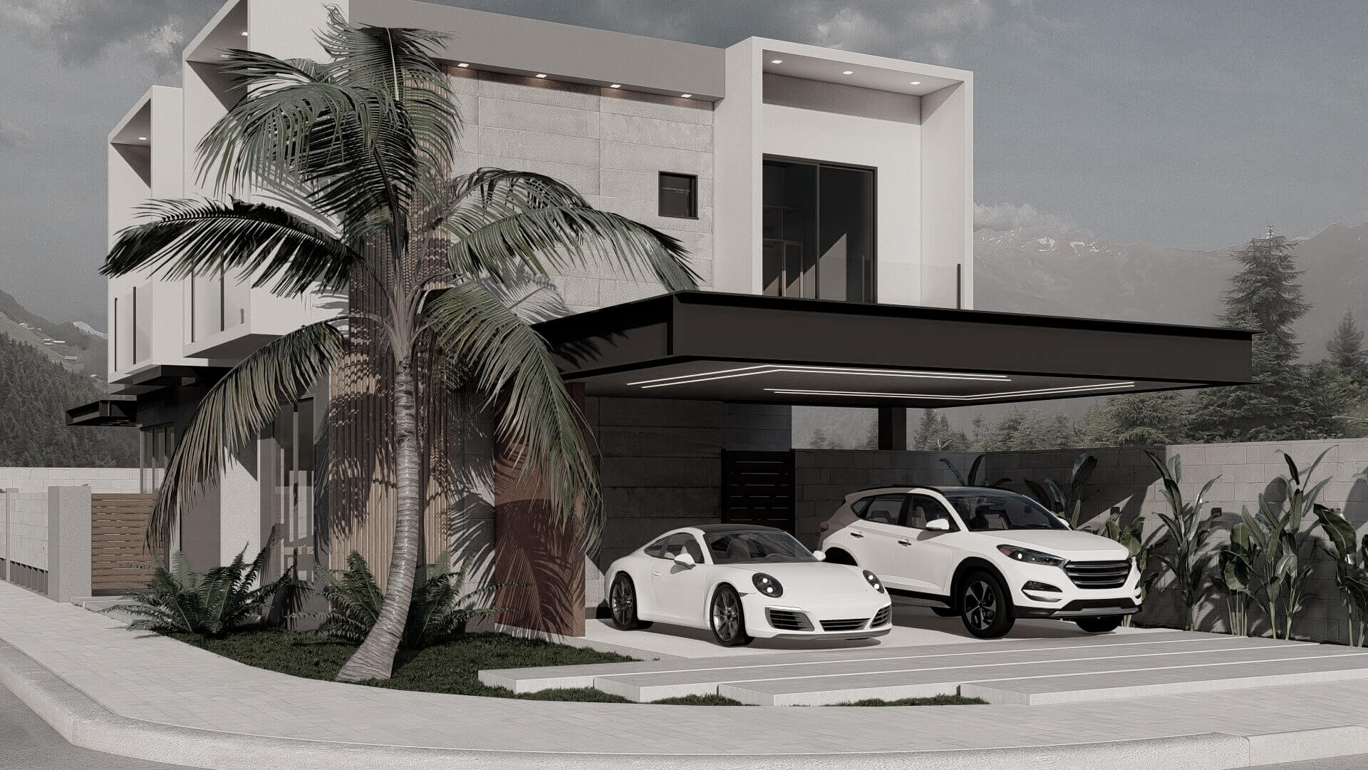 Casa AH - P&B